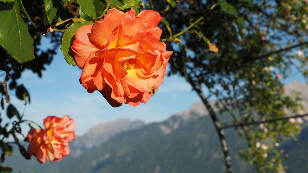 Bergh Am Berg Lägenhet Irschen Exteriör bild