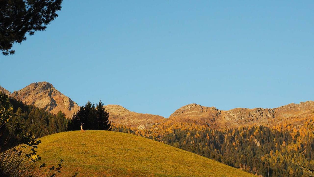 Bergh Am Berg Lägenhet Irschen Exteriör bild